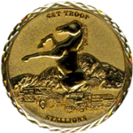military-3D-challenge-coin